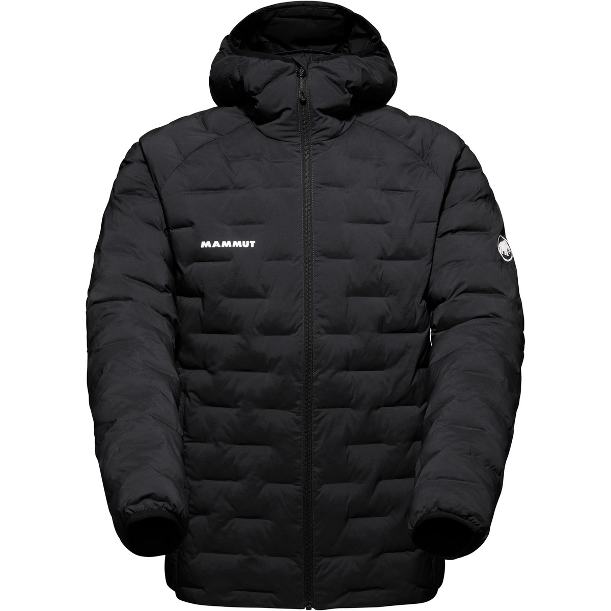 Image of Mammut Herren Sender In Hoodie Jacke
