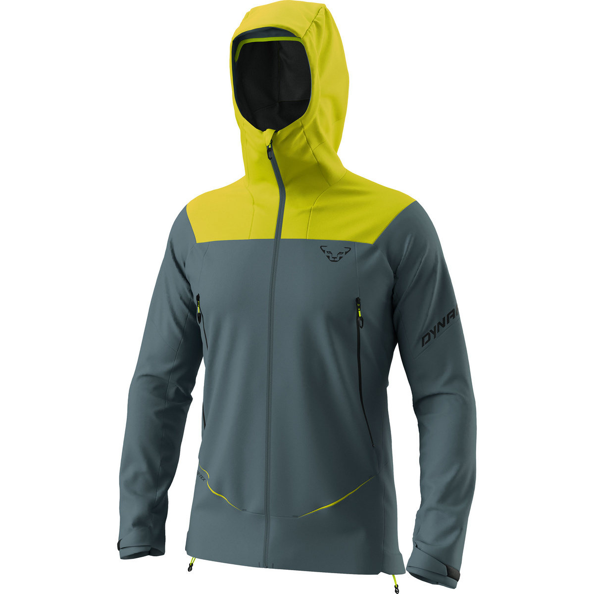 Image of Dynafit Herren Ridge GTX Jacke