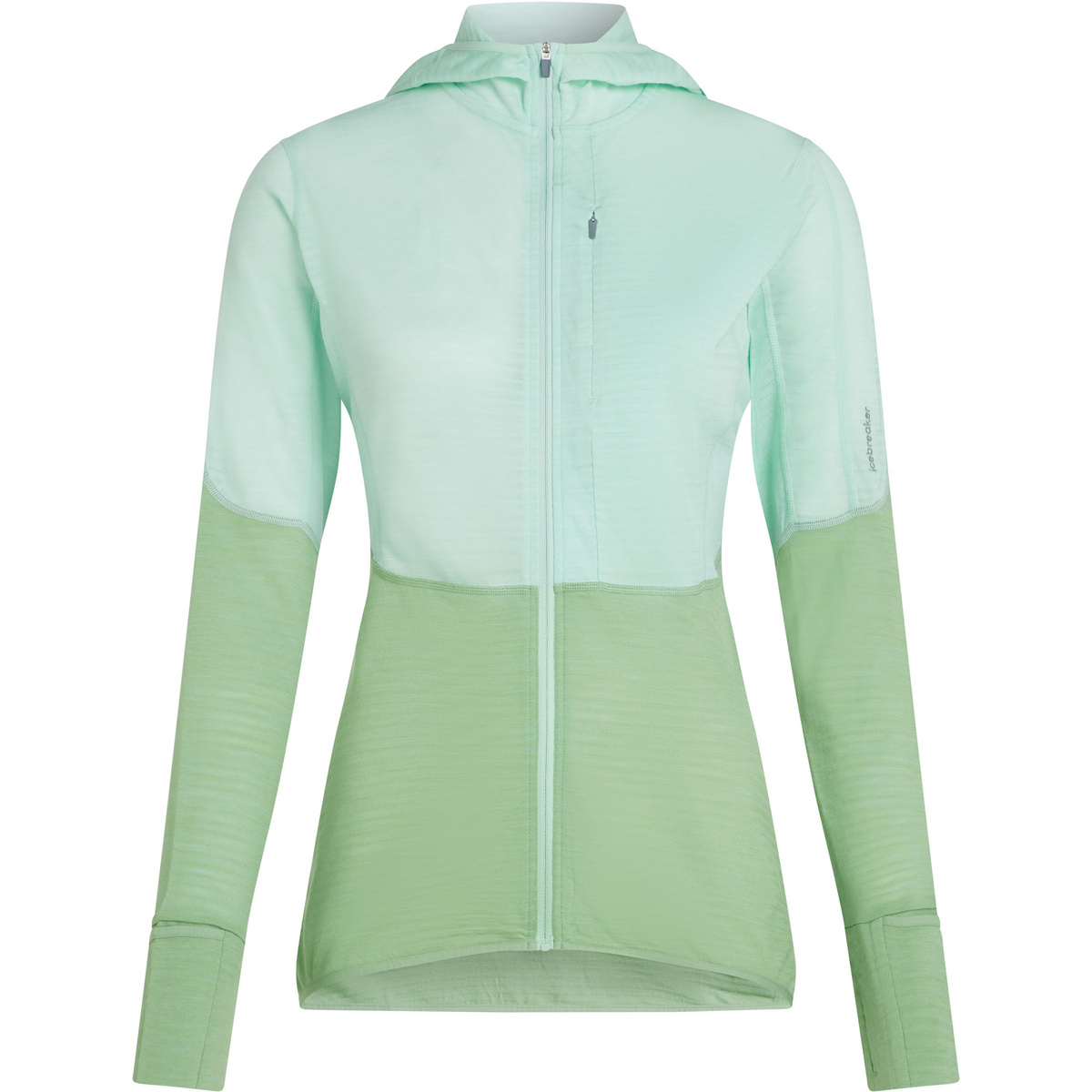 Icebreaker Damen 200 Realfleece Descender Hoodie Jacke (Größe M, gruen)