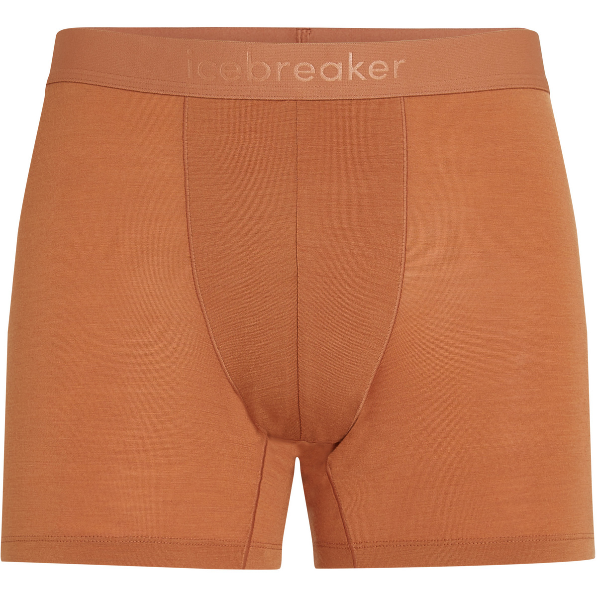 Icebreaker Herren 125 Cool-Lite Anatomica Boxer (Größe M, braun)