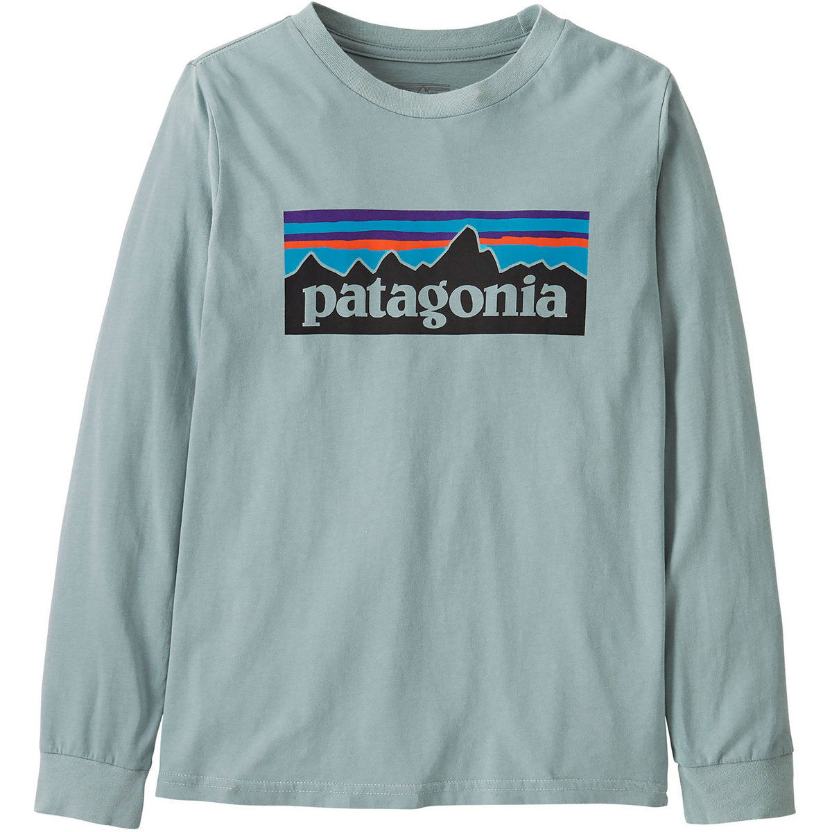 Patagonia Kinder P-6 Logo Longsleeve
