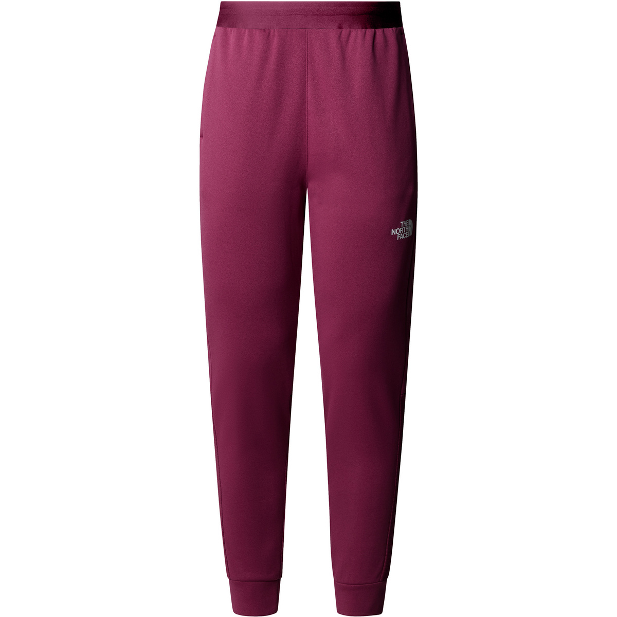 The North Face Donna Pantaloni Ma Fleece (Taglia S, Viola)