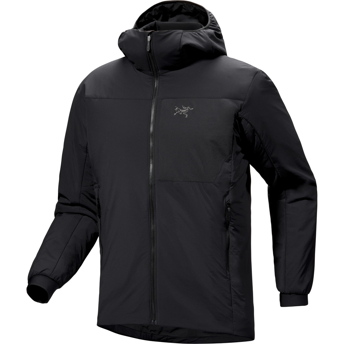 Image of Arcteryx Uomo Giacca Proton Hoodie