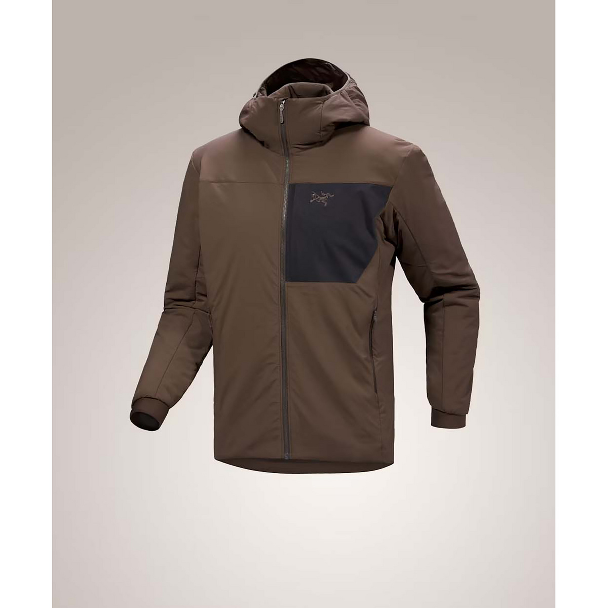 Image of Arcteryx Uomo Giacca Proton Hoodie