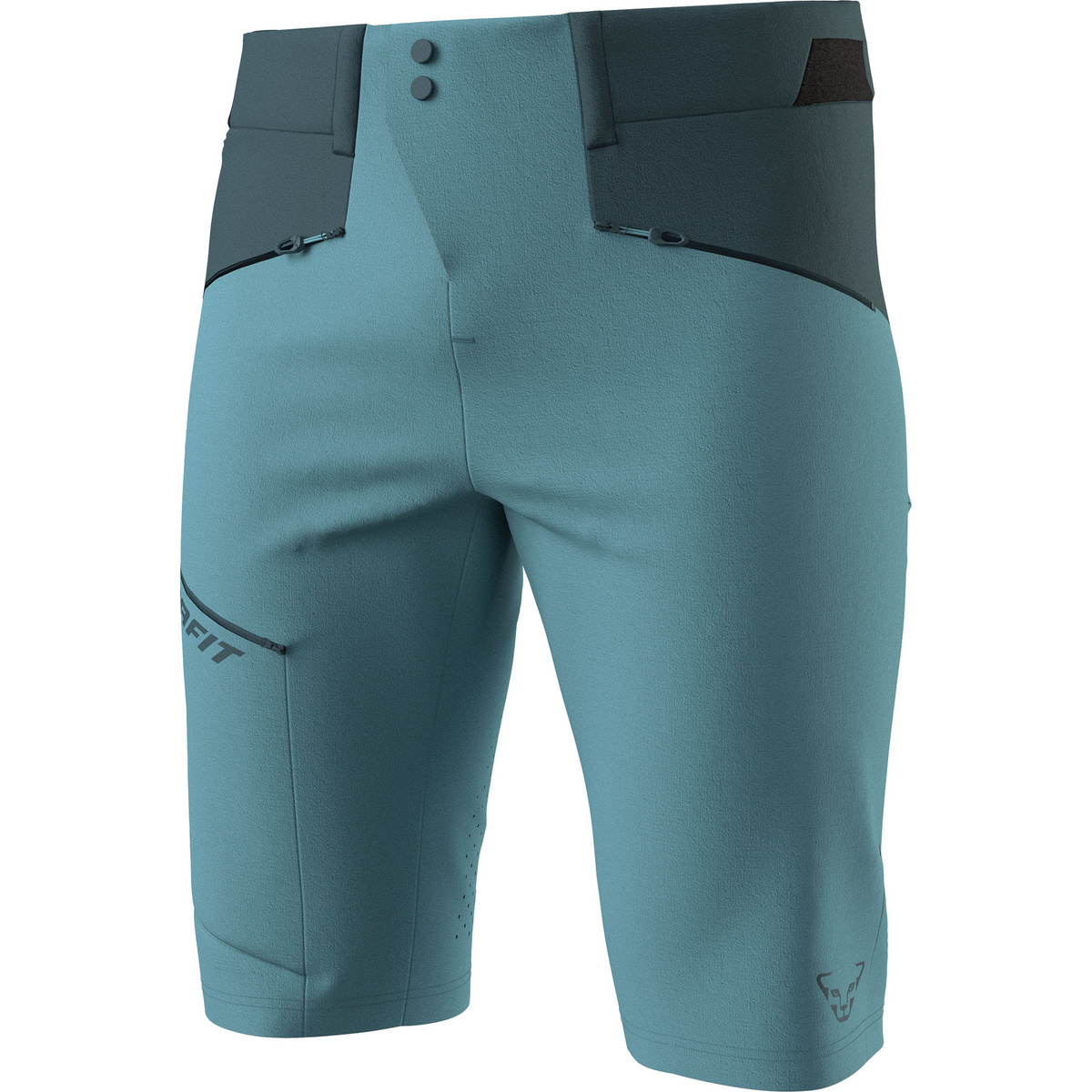Dynafit Herren Transalper DST Shorts (Größe L, blau)