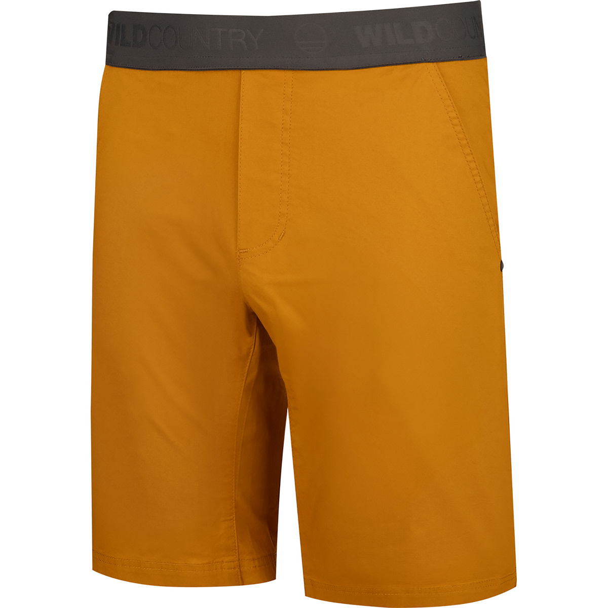 Wild Country Herren Session 2 Shorts (Größe XL, gelb)