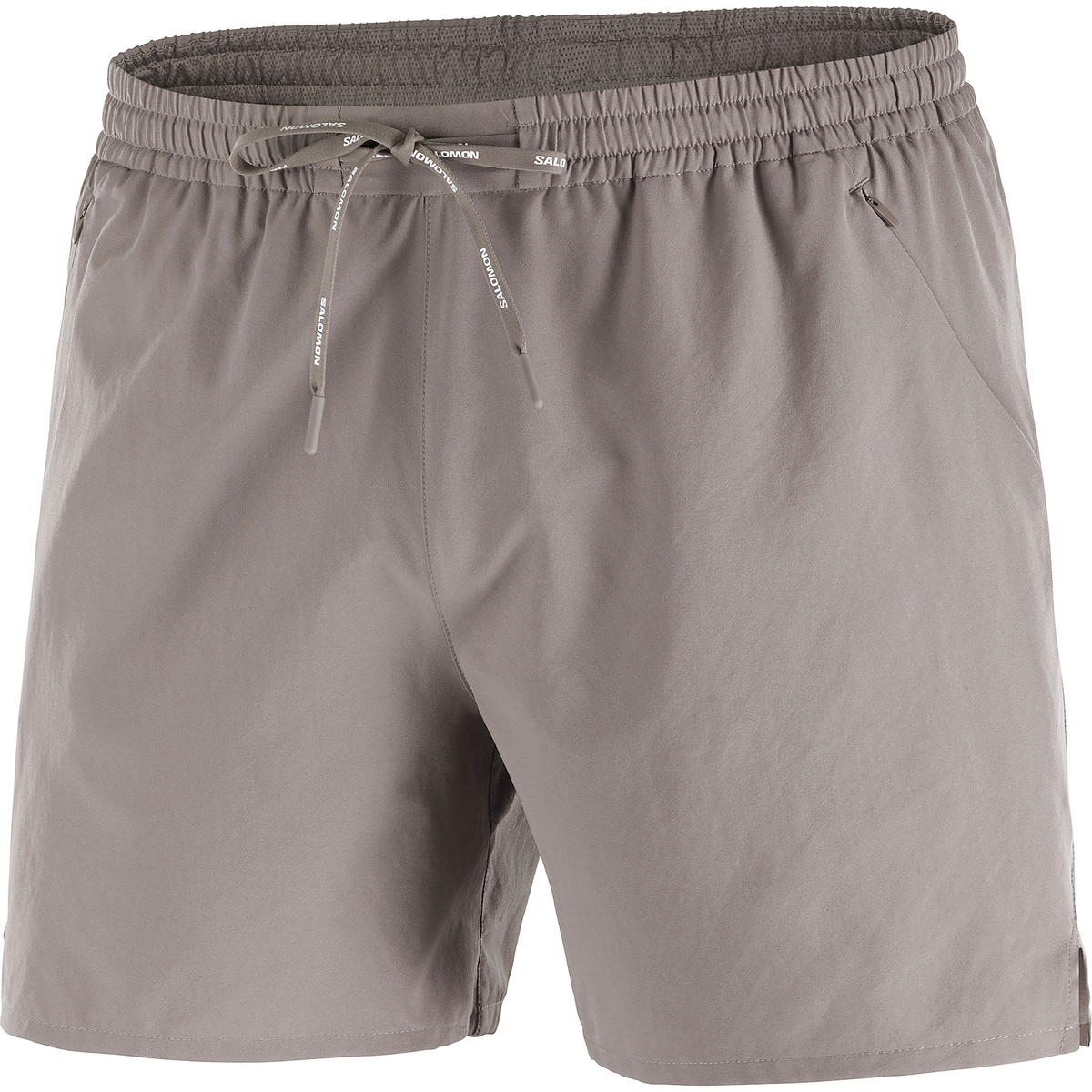 Salomon Herren SHKout Core 5" Shorts (Größe L, beige)