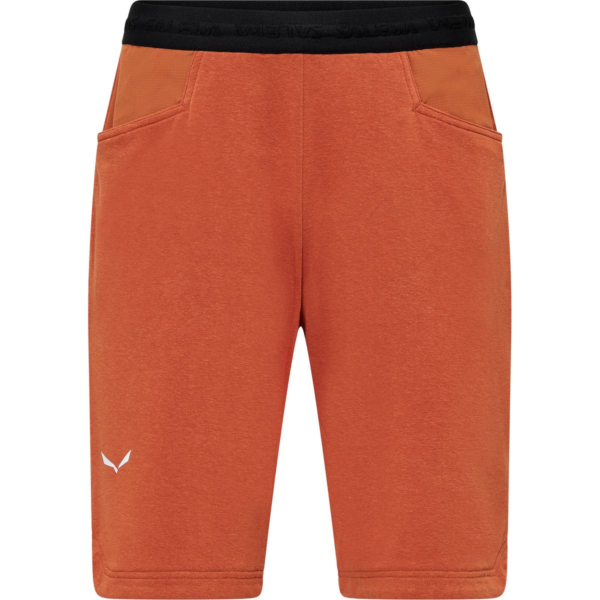 Image of Salewa Uomo Pantaloncini Agner Hemp