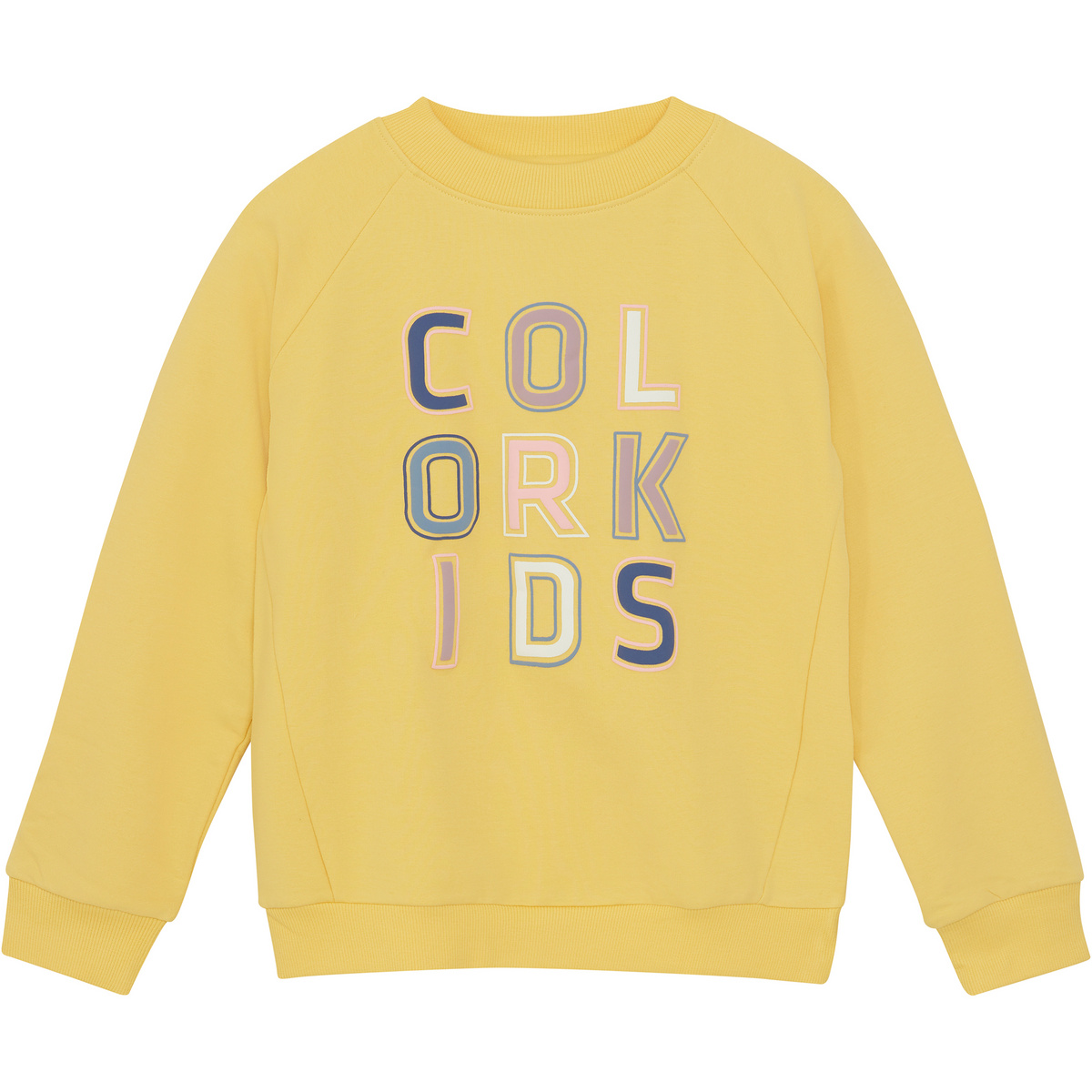 Image of Color Kids Kinder Logo Print Pullover