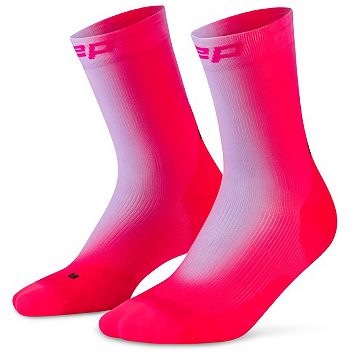 CEP Damen Run Edt. Gradient 5.0 Socken (Größe 40 , pink)