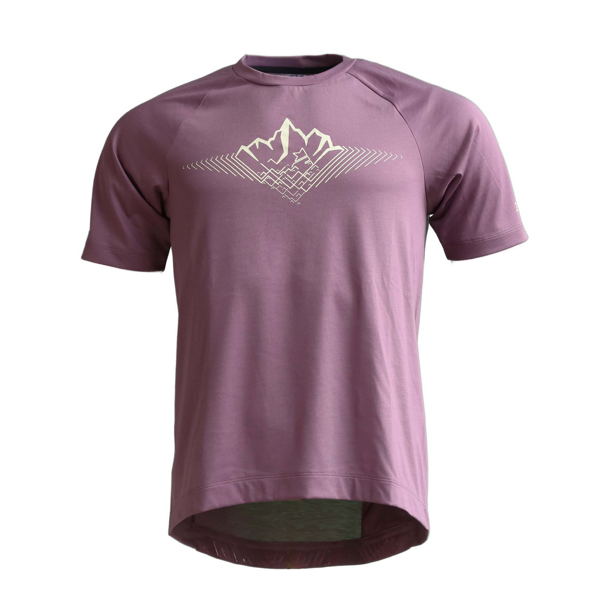 Image of Zimtstern Herren PureFlowz Trikot