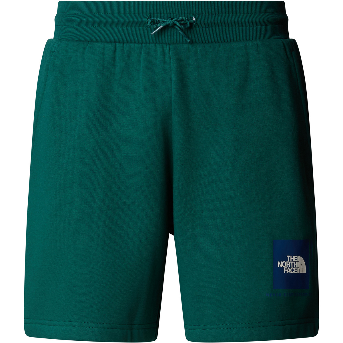 The North Face Herren Box Nse Shorts (Größe S, gruen)