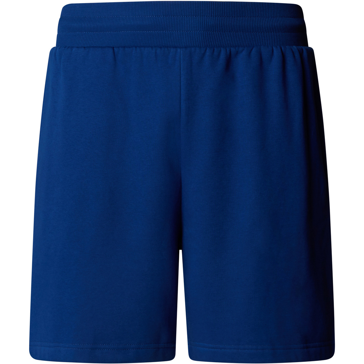 The North Face Herren Easy Shorts (Größe XS, blau)