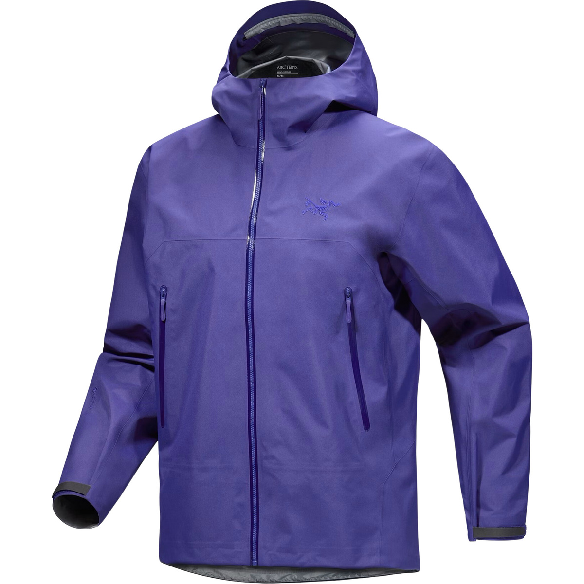 Arcteryx Homme Veste Beta (taille L, Bleu)