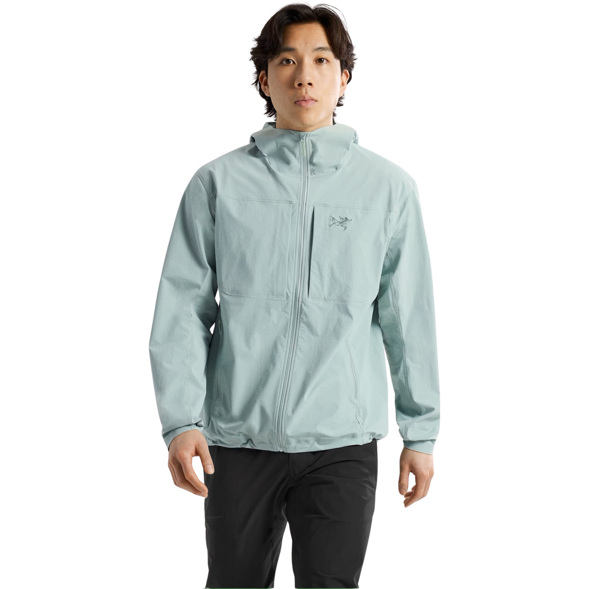 Arcteryx Herren Gamma Lightweight Hoodie Jacke (Größe L, gruen)