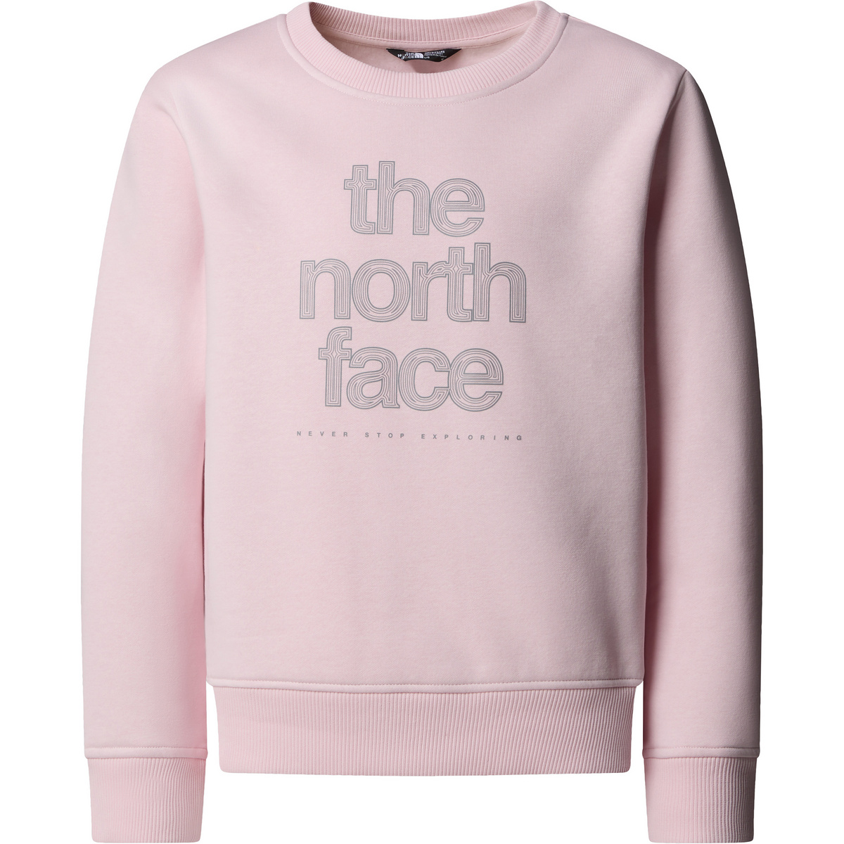 Image of The North Face Bambino Pullover Reflective Logo Relaxed Crew