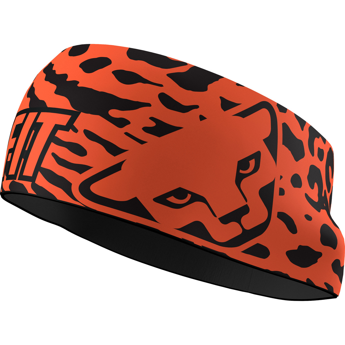Image of Dynafit Graphic Performance Stirnband