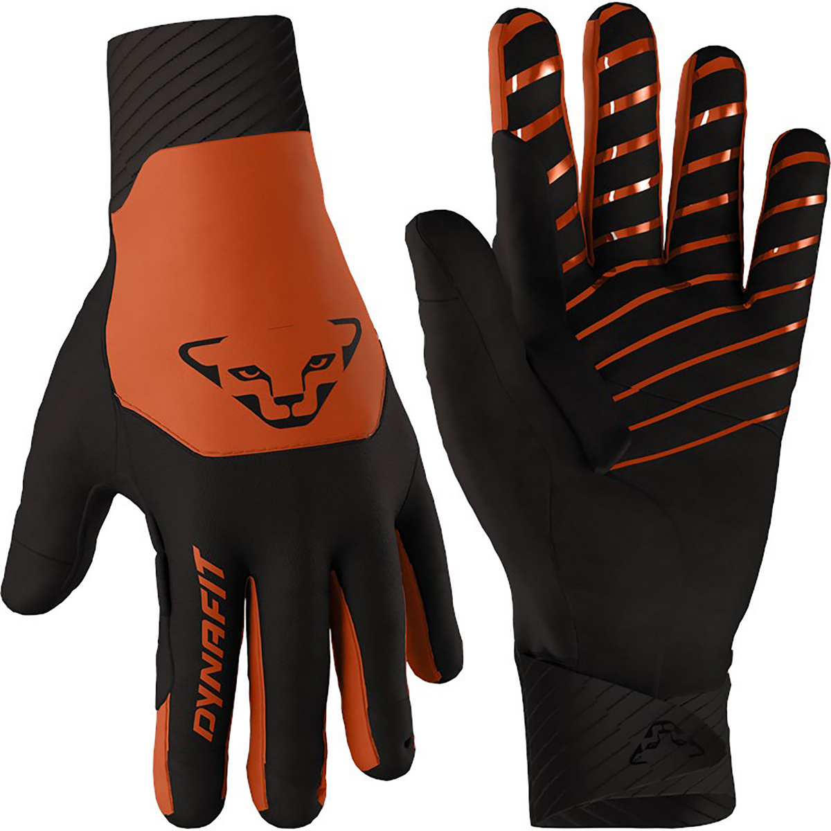Dynafit Blacklight Softshell Handschuhe (Größe XS, orange)