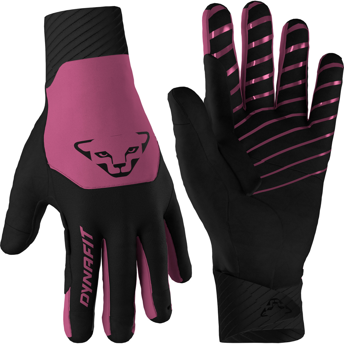 Image of Dynafit Guanti Blacklight Softshell