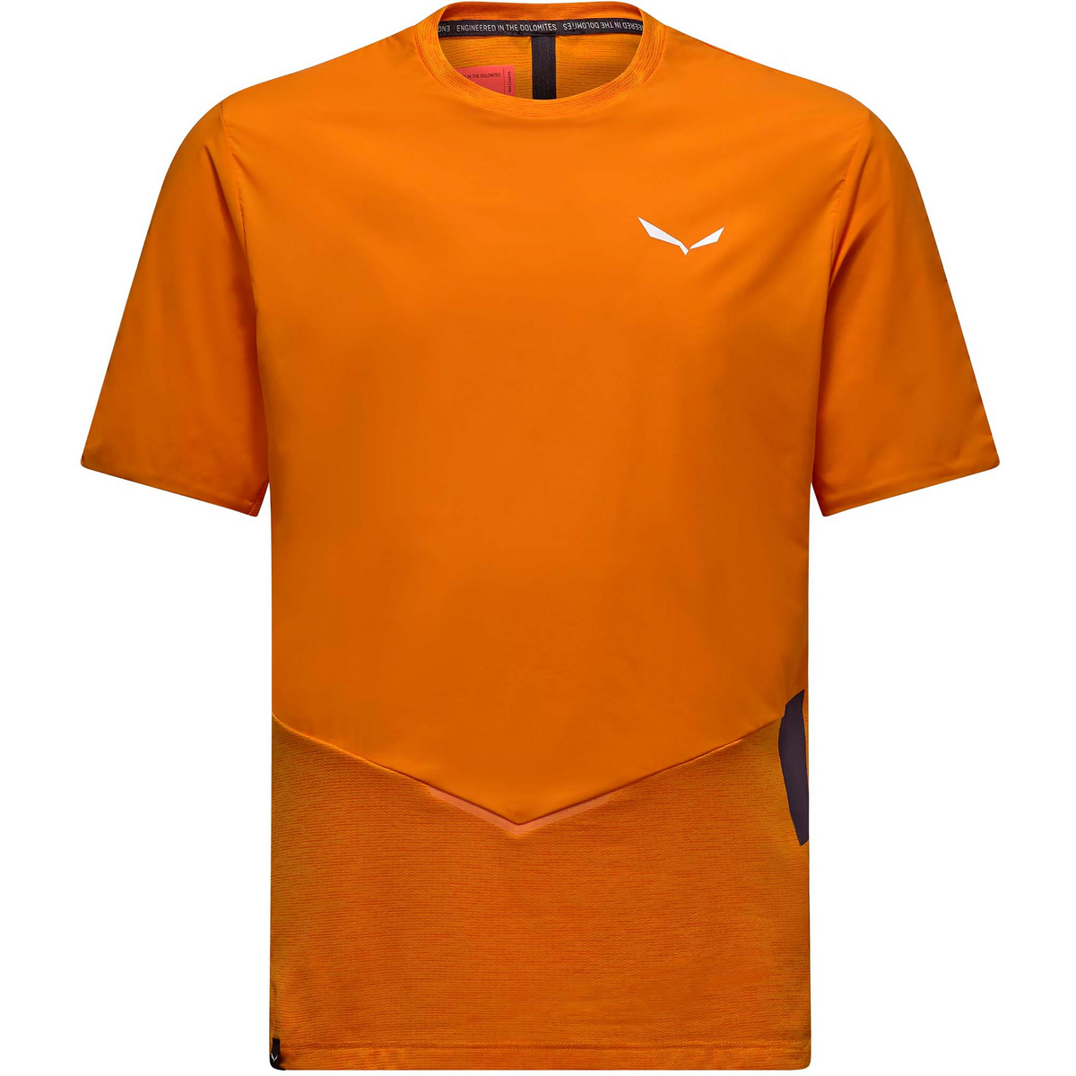 Image of Salewa Herren Pedroc Dry Wind T-Shirt