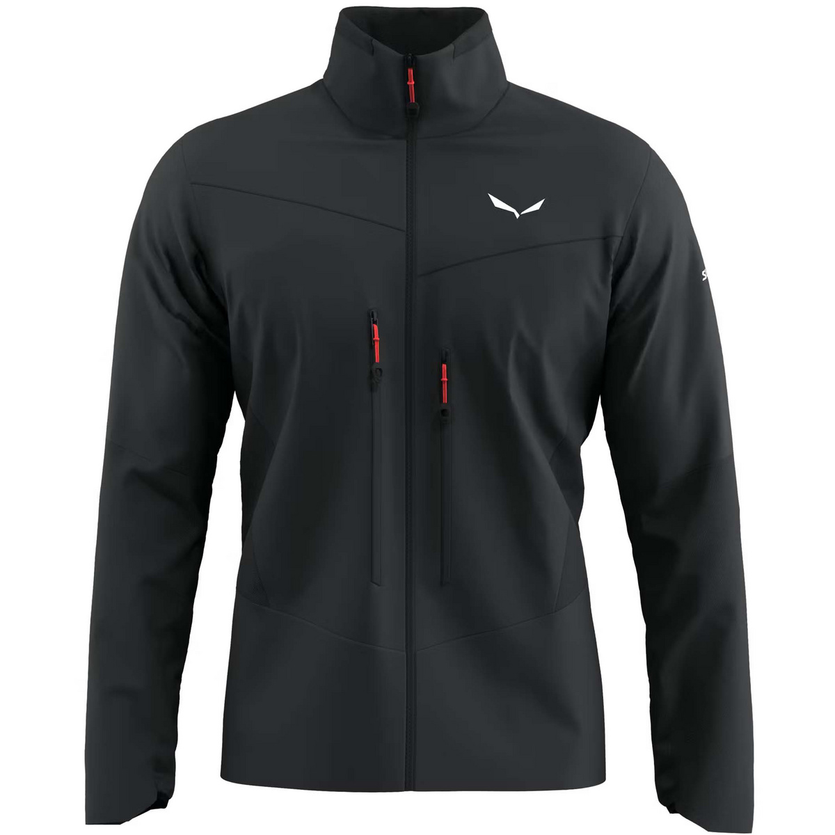 Image of Salewa Uomo Giacca Ortles DST/SW