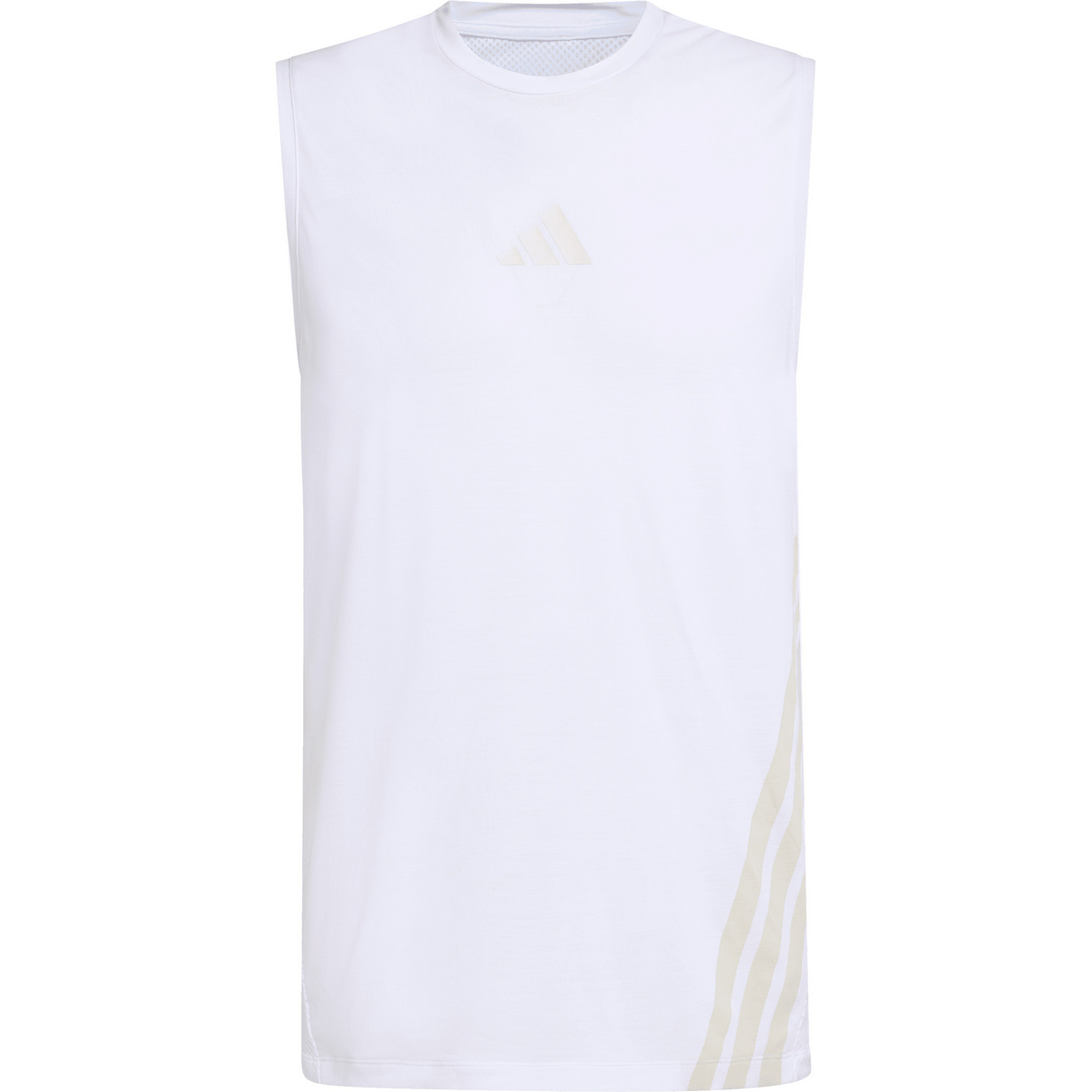 Image of adidas Terrex Herren Xperior Tanktop