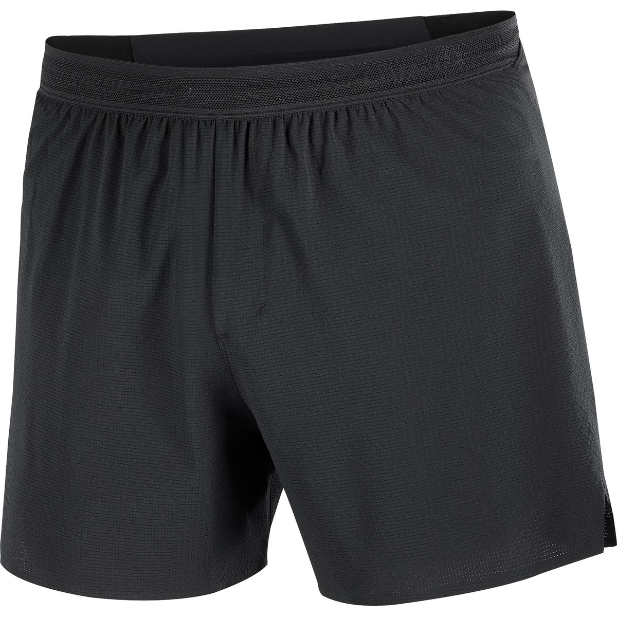 Image of Salomon Herren Sense Aero Stow 5" Shorts