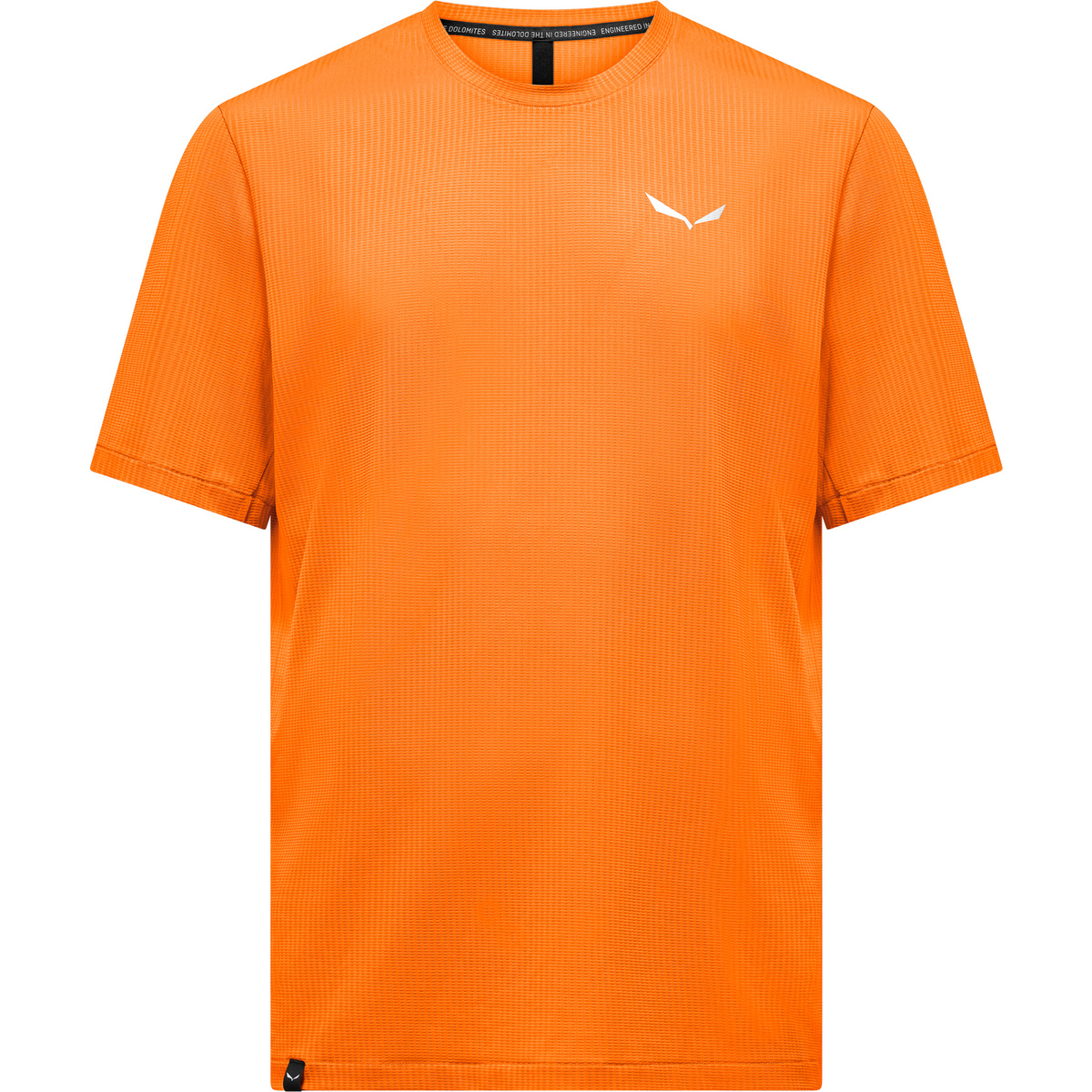 Image of Salewa Herren Pedroc Dry Light T-Shirt