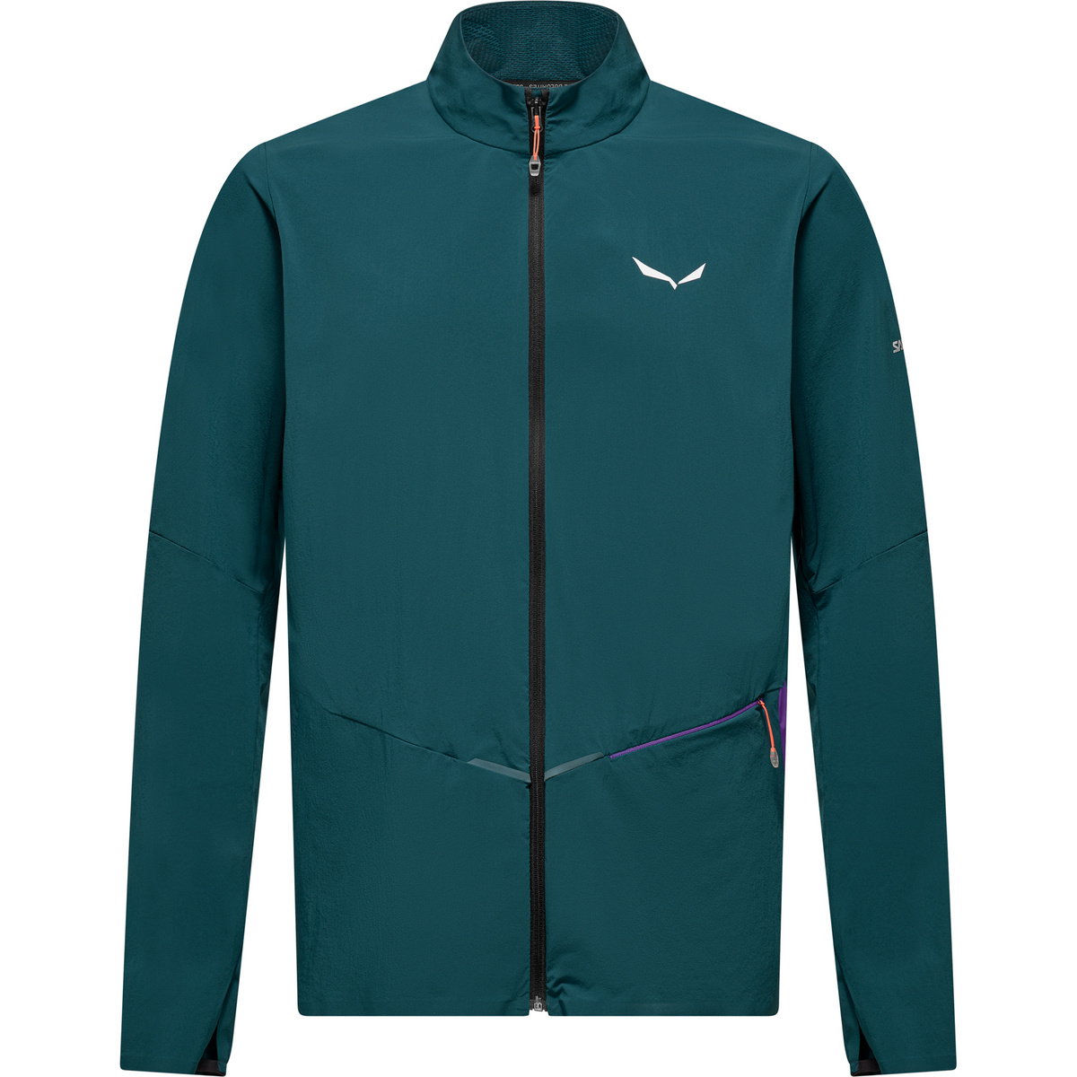 Image of Salewa Uomo Giacca Pedroc Dst Light