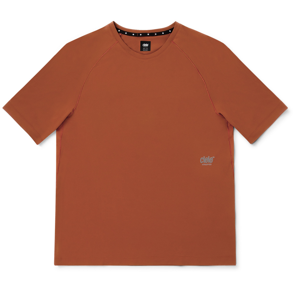 Ciele Herren DLY T-Shirt (Größe XXL, braun)