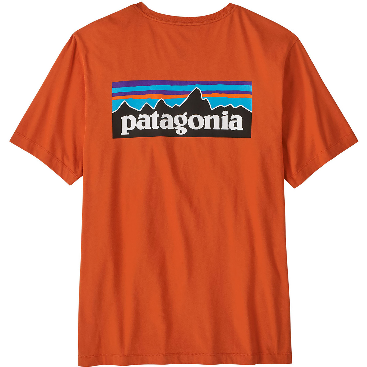 Patagonia Herren P-6 Logo T-Shirt (Größe M, orange)