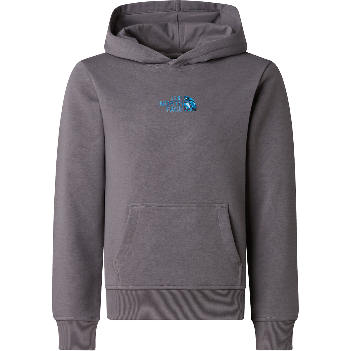 Image of The North Face Kinder Liquid Logo Reg Hoodie