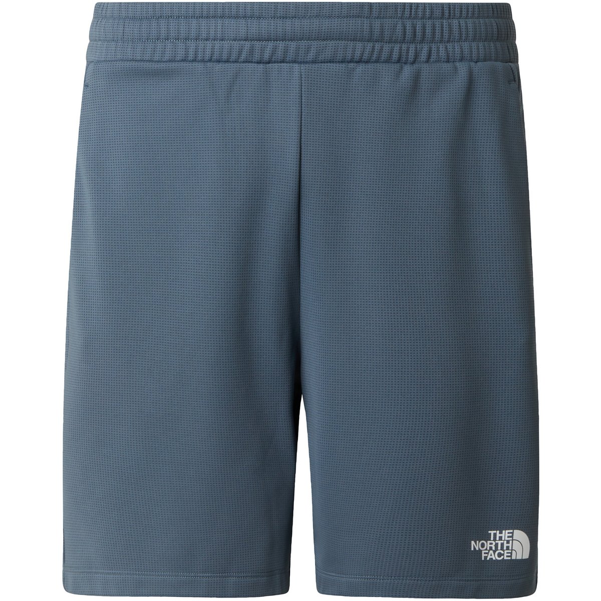 The North Face Herren Reaxion 2.0 Shorts (Größe M, blau)