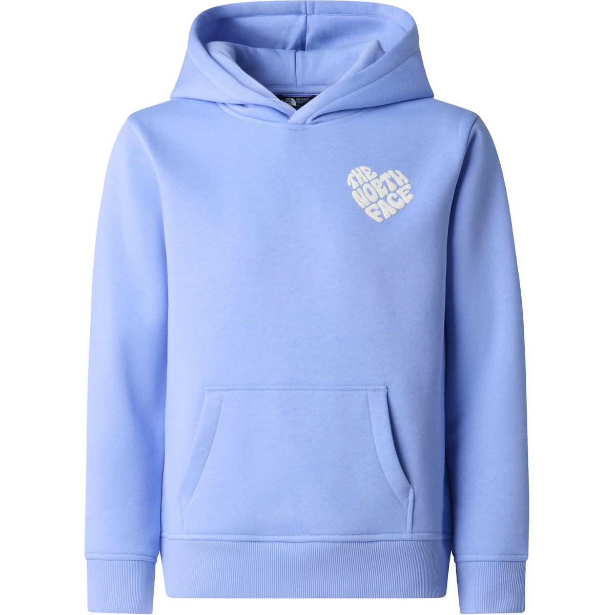 Image of The North Face Kinder Brand Proud Relaxed Hoodie