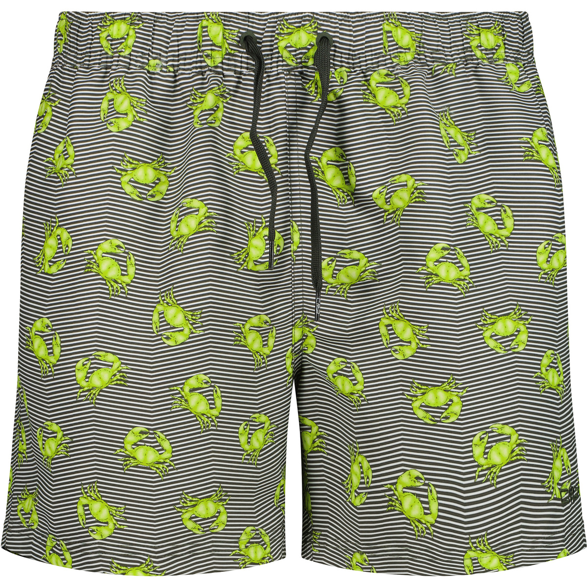 CMP Herren Badehose (Größe 3XL, gruen)