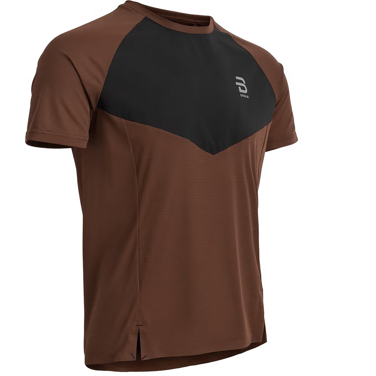 Daehlie Herren Run 365 T-Shirt (Größe L, braun)