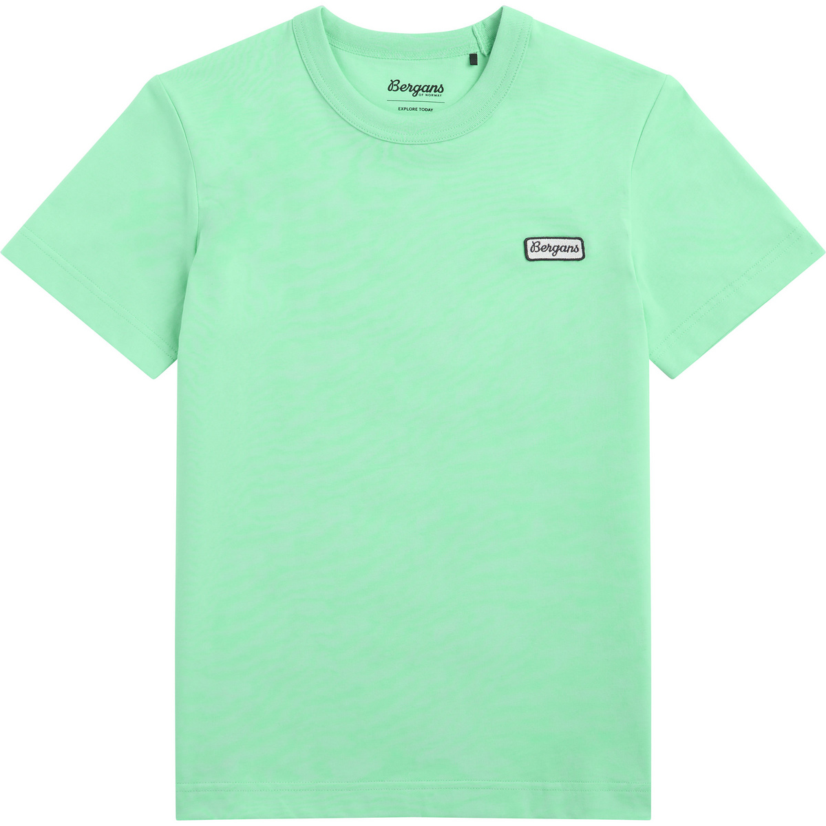 Bergans Damen Logo Cotton T-Shirt (Größe L, gruen)
