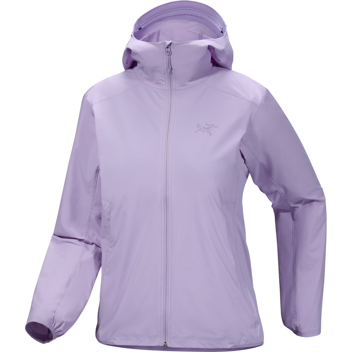 Arcteryx Damen Gamma LT Hoodie Jacke (Größe XL, lila)