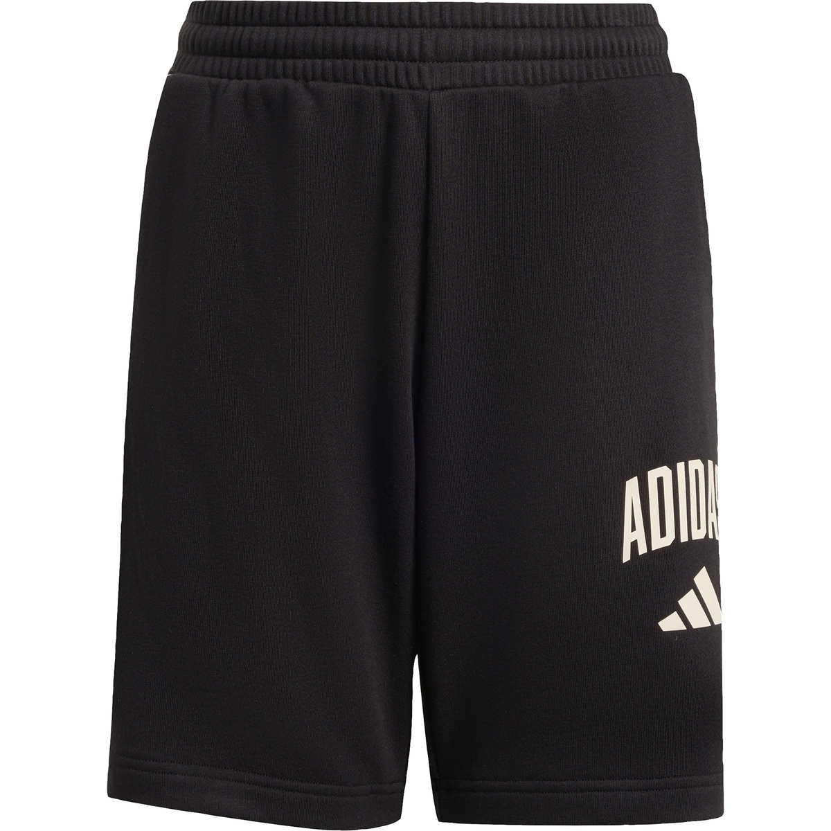 Image of adidas Bambino Pantaloncini Collegiate Typography