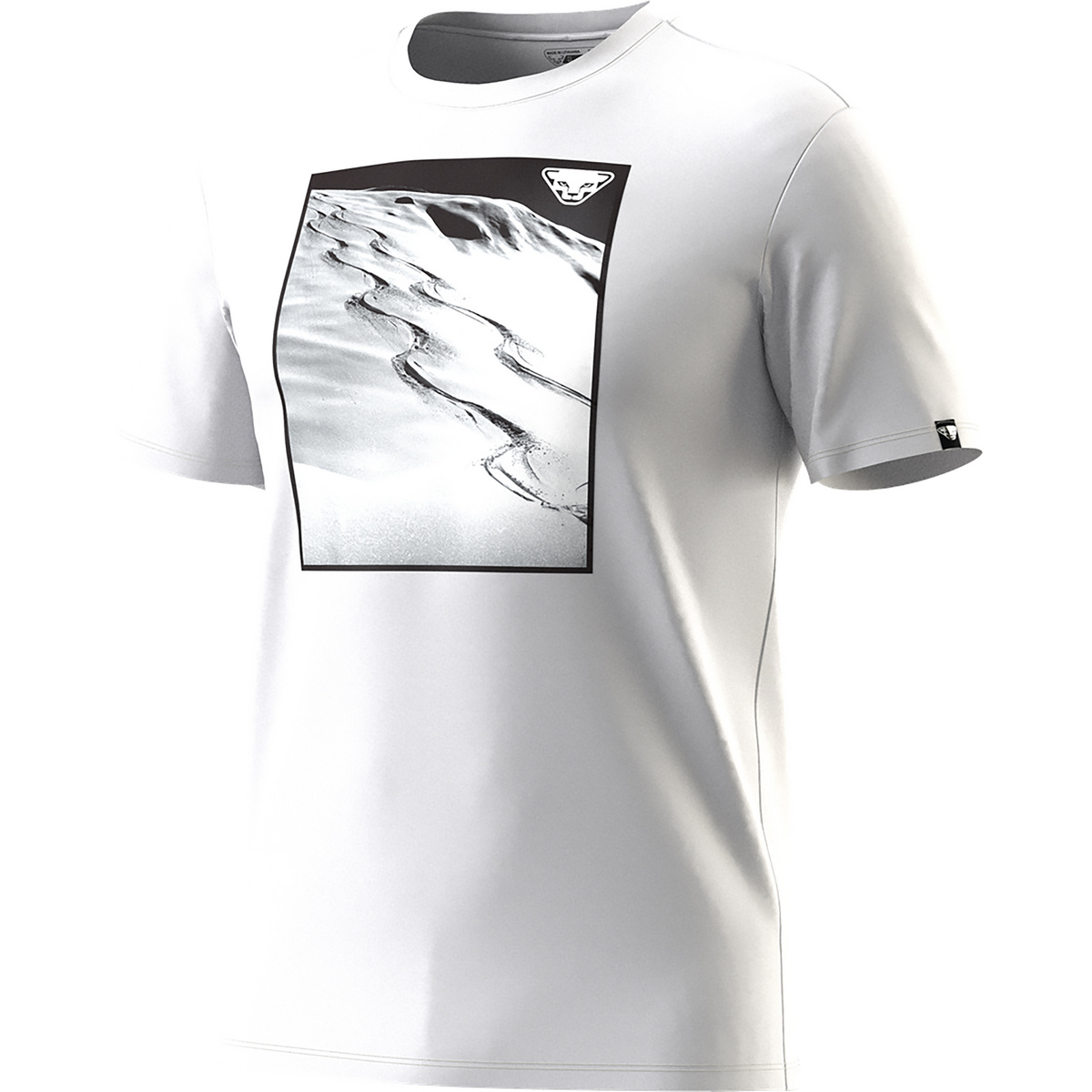 Image of Dynafit Herren Graphic Cotton T-Shirt