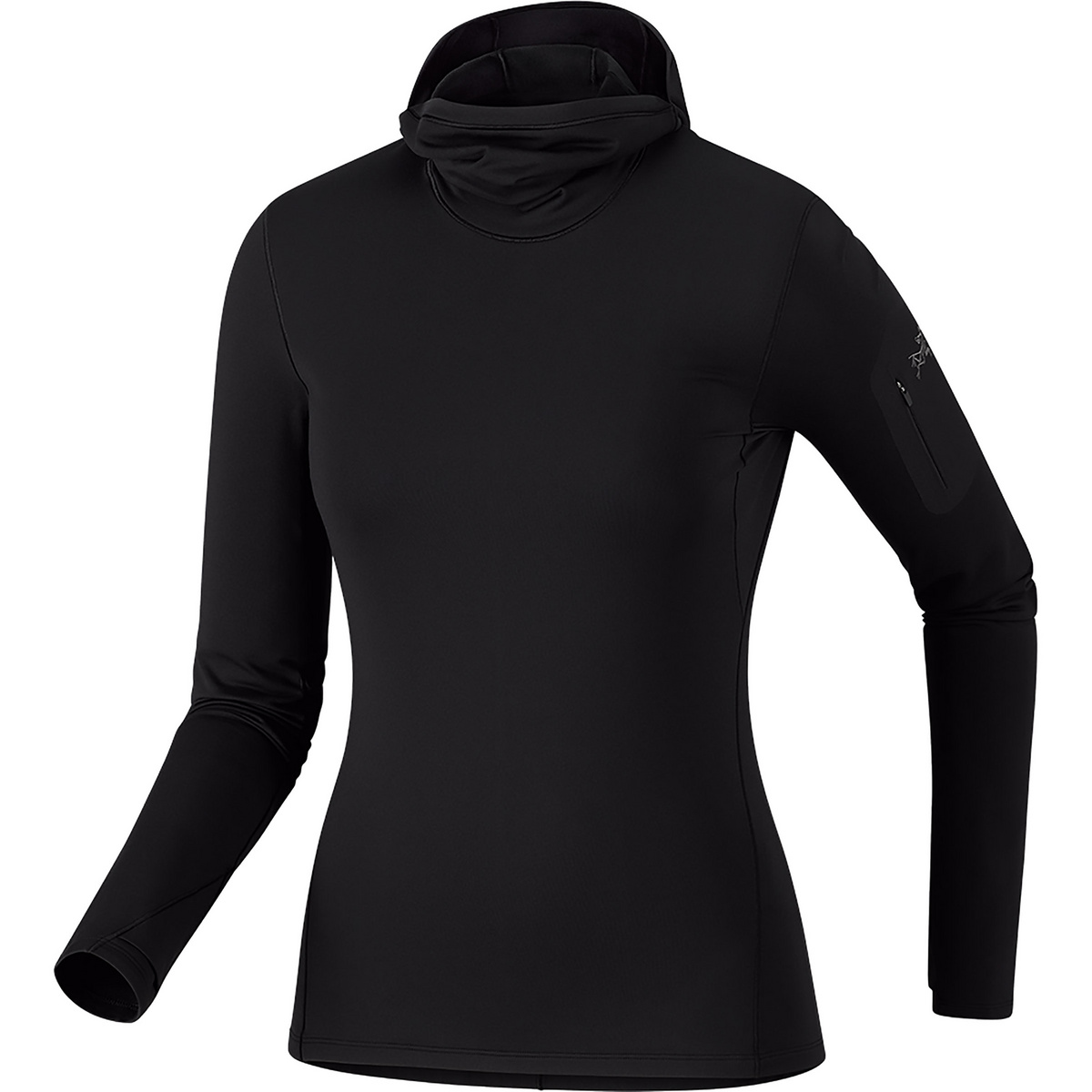 Image of Arc'teryx Damen Rho Hoodie