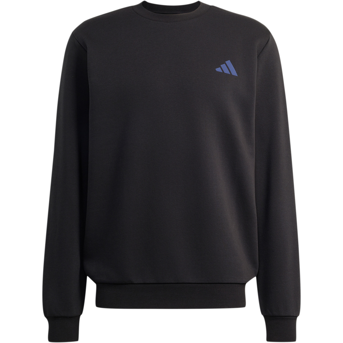 Image of adidas Terrex Herren Snow Sport Graphic Pullover
