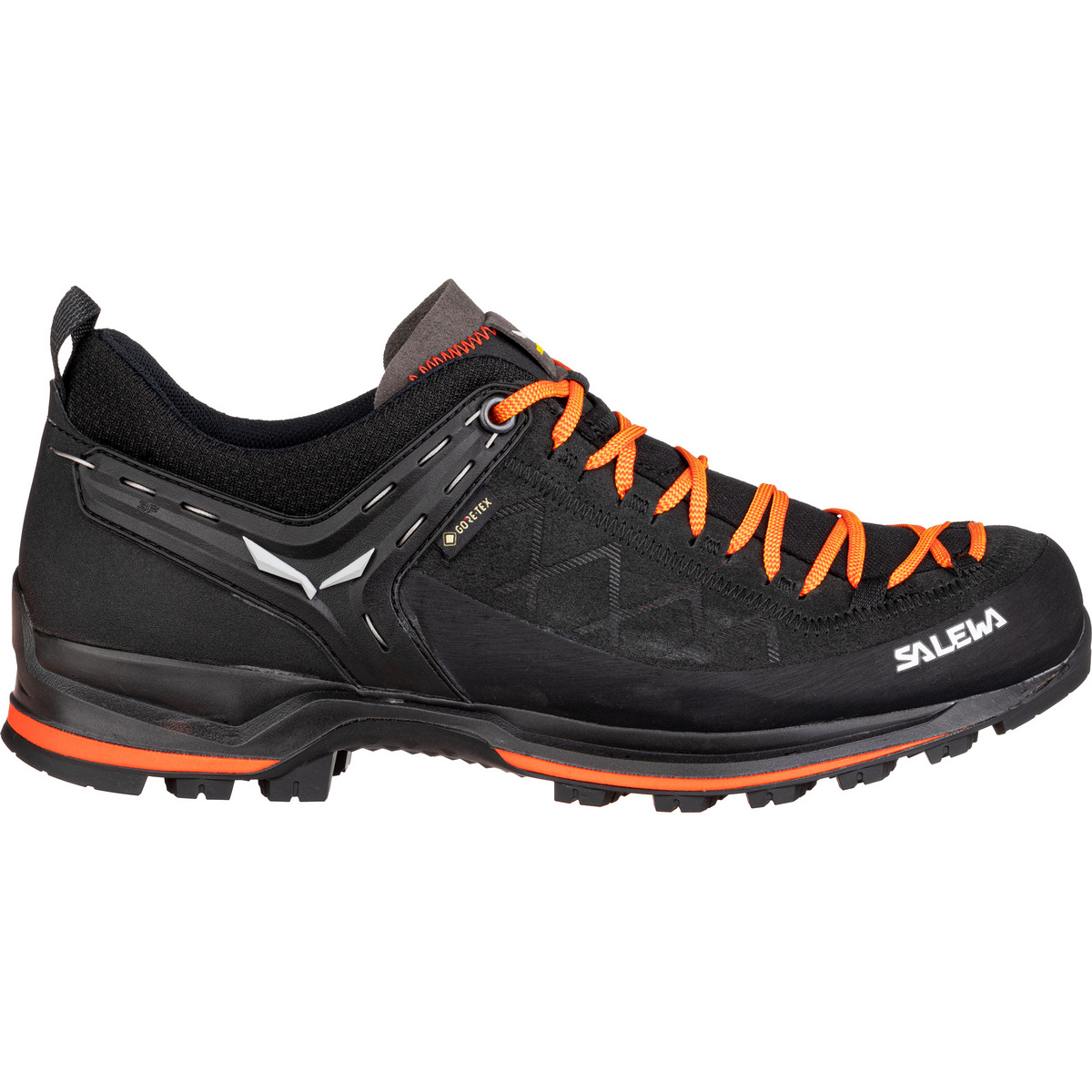 Salewa Herren MTN Trainer 2 GTX Schuhe (Größe 46, schwarz)