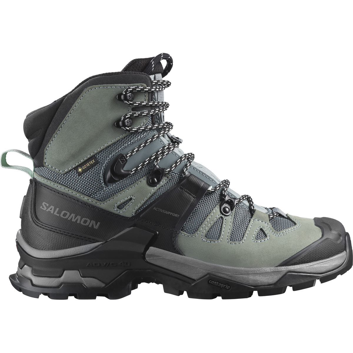 Image of Salomon Damen Quest 4 GTX Schuhe