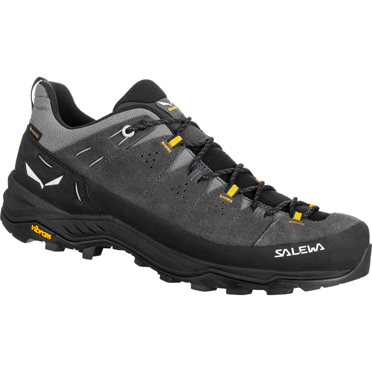 Salewa Herren Alp Trainer 2 GTX Schuhe (Größe 46, grau)