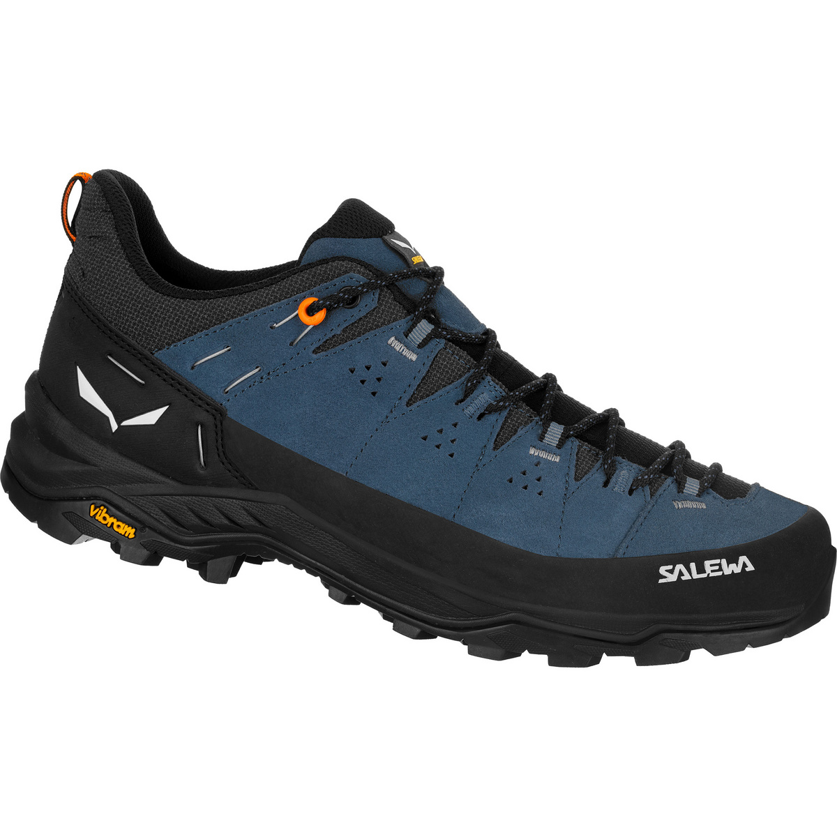 Salewa Herren Alp Trainer 2 Schuhe (Größe 46.5, blau)