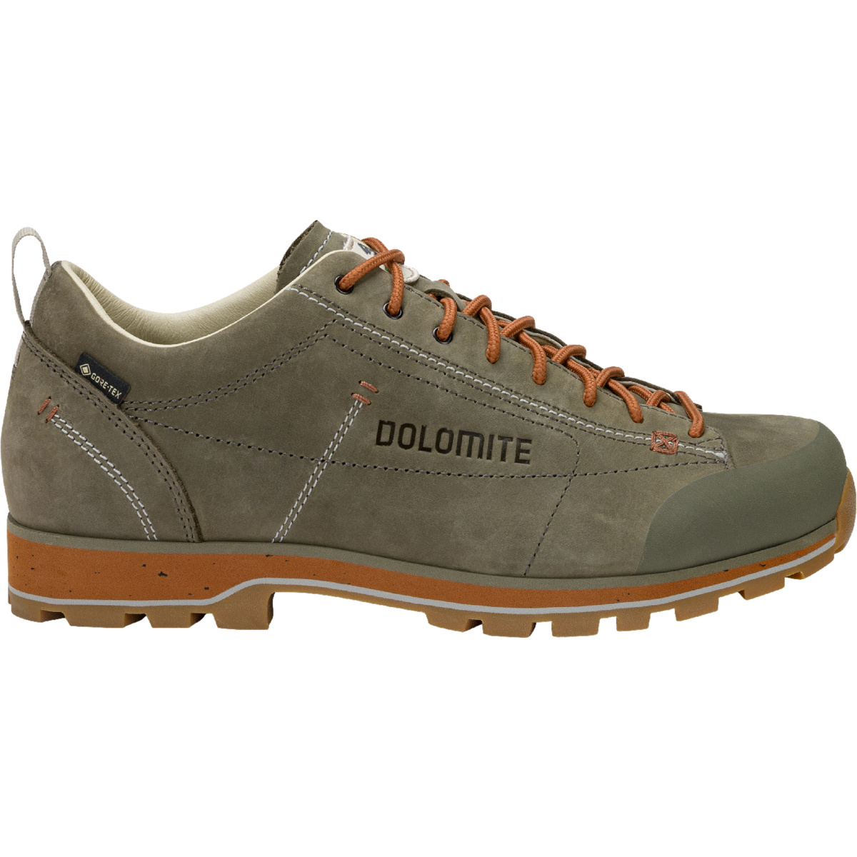 Dolomite Herren 54 Low FG Evo GTX Schuhe (Größe 45, oliv)