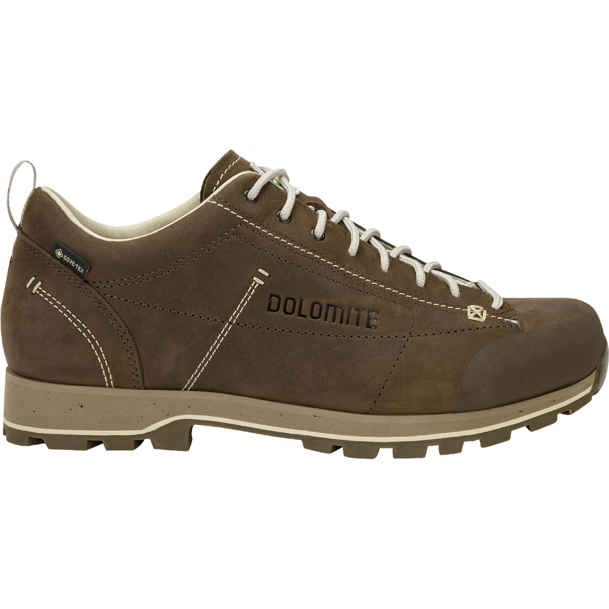 Dolomite 54 Low FG Evo GTX Schuhe (Größe 45.5 , dark brown)