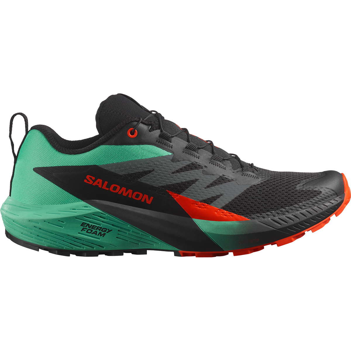 Salomon Herren Sense Ride 5 Schuhe (Größe 46, schwarz)
