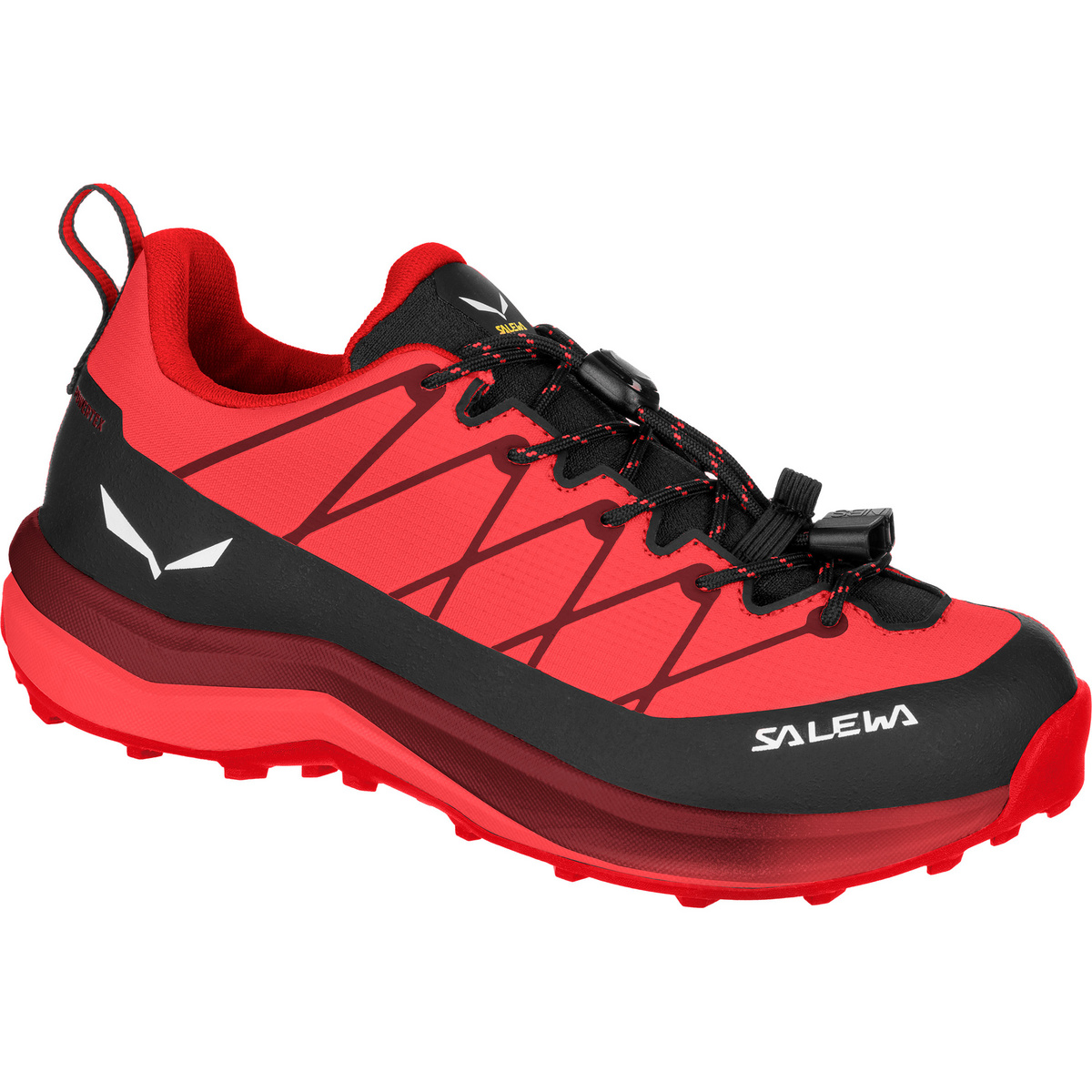 Salewa Kinder Wildfire 2 PTX Schuhe (Größe 36, pink)